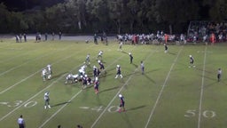Theo Anderson's highlights vs. Tampa Catholic High