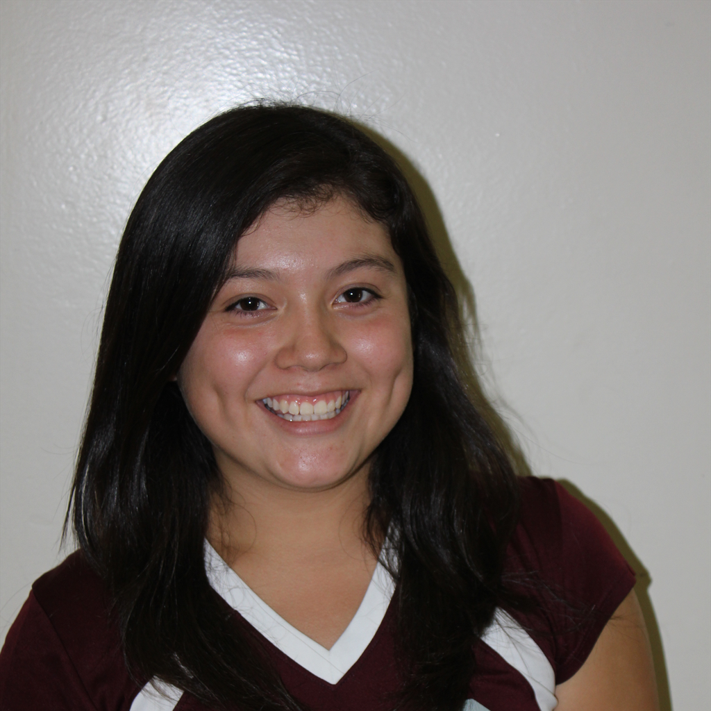 Ellain Mendez mugshot