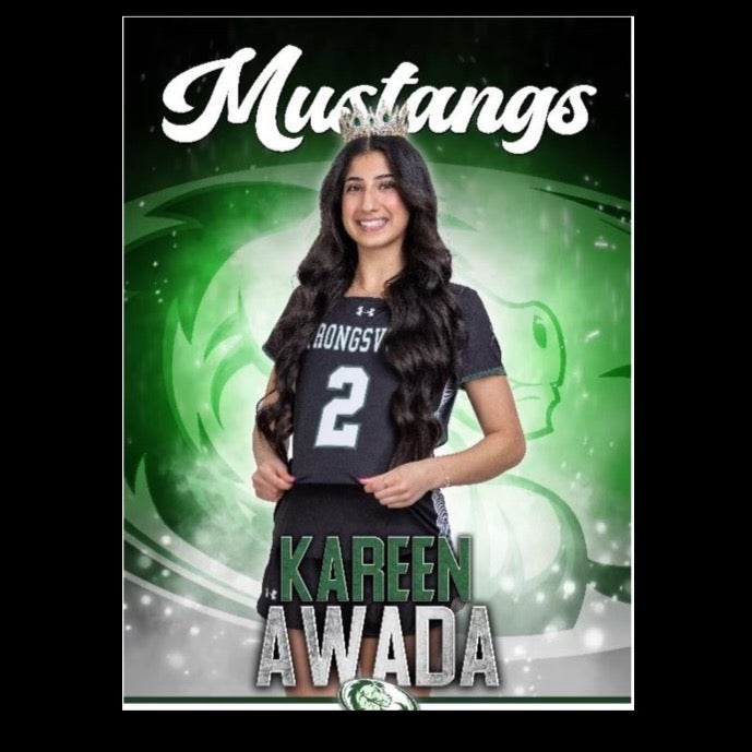 Kareen Awada mugshot