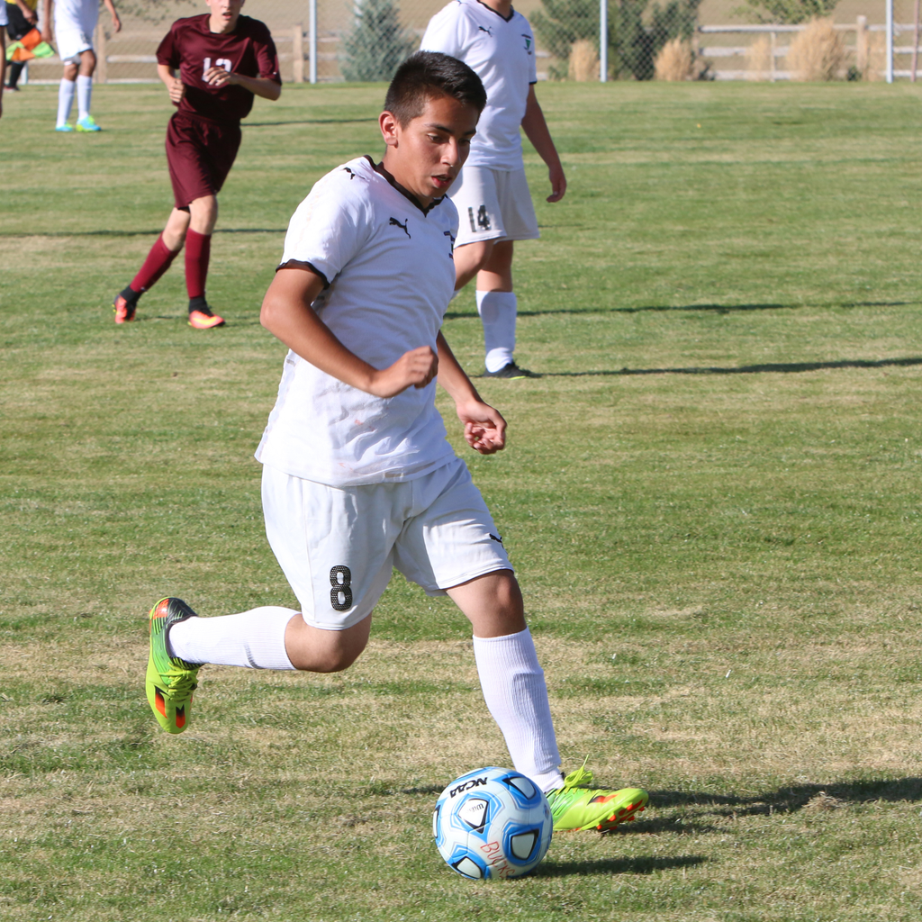 Brandon Diaz