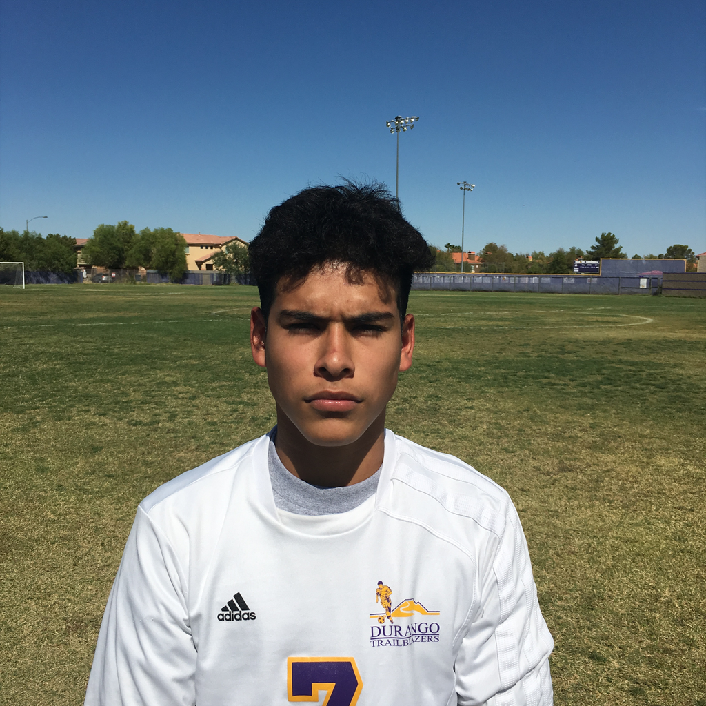 Nestor Cuevas Castellanos