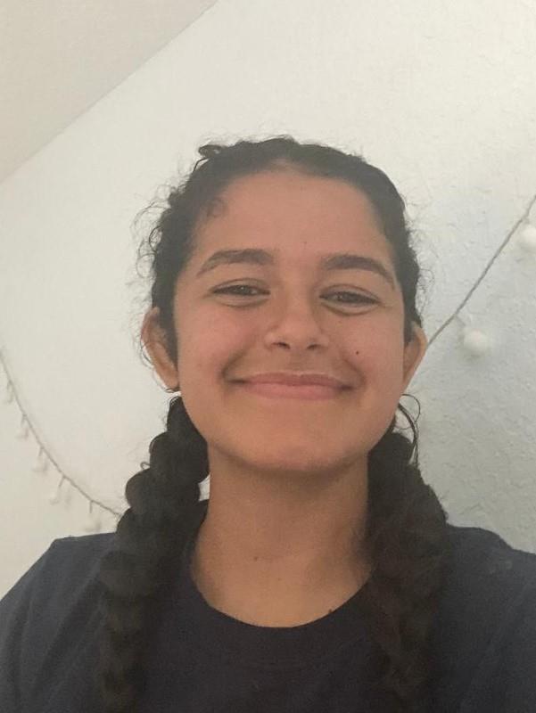 Gladiz Velez mugshot
