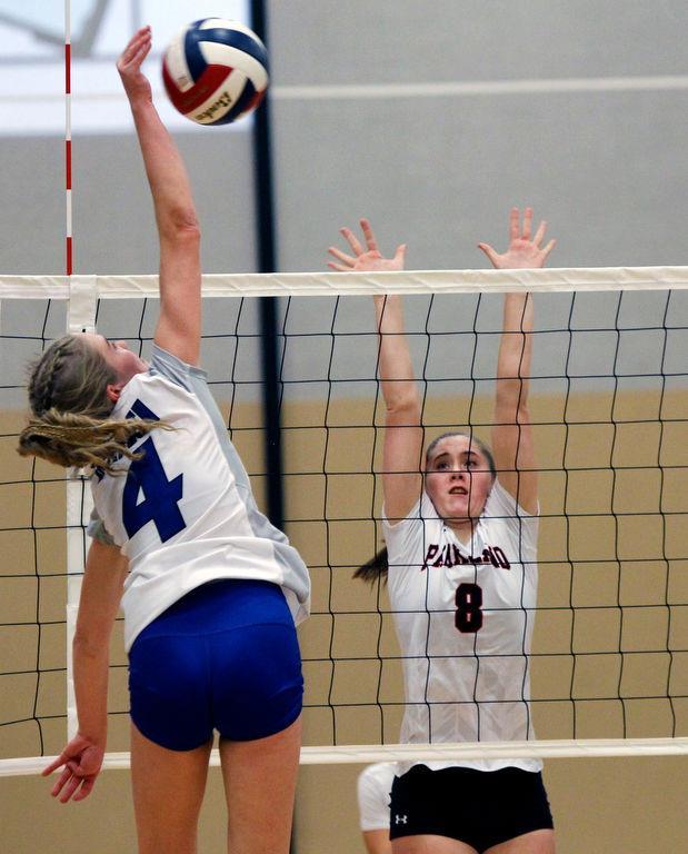 Maddie Orth
