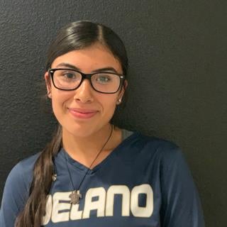 Lizbeth Hernandez mugshot