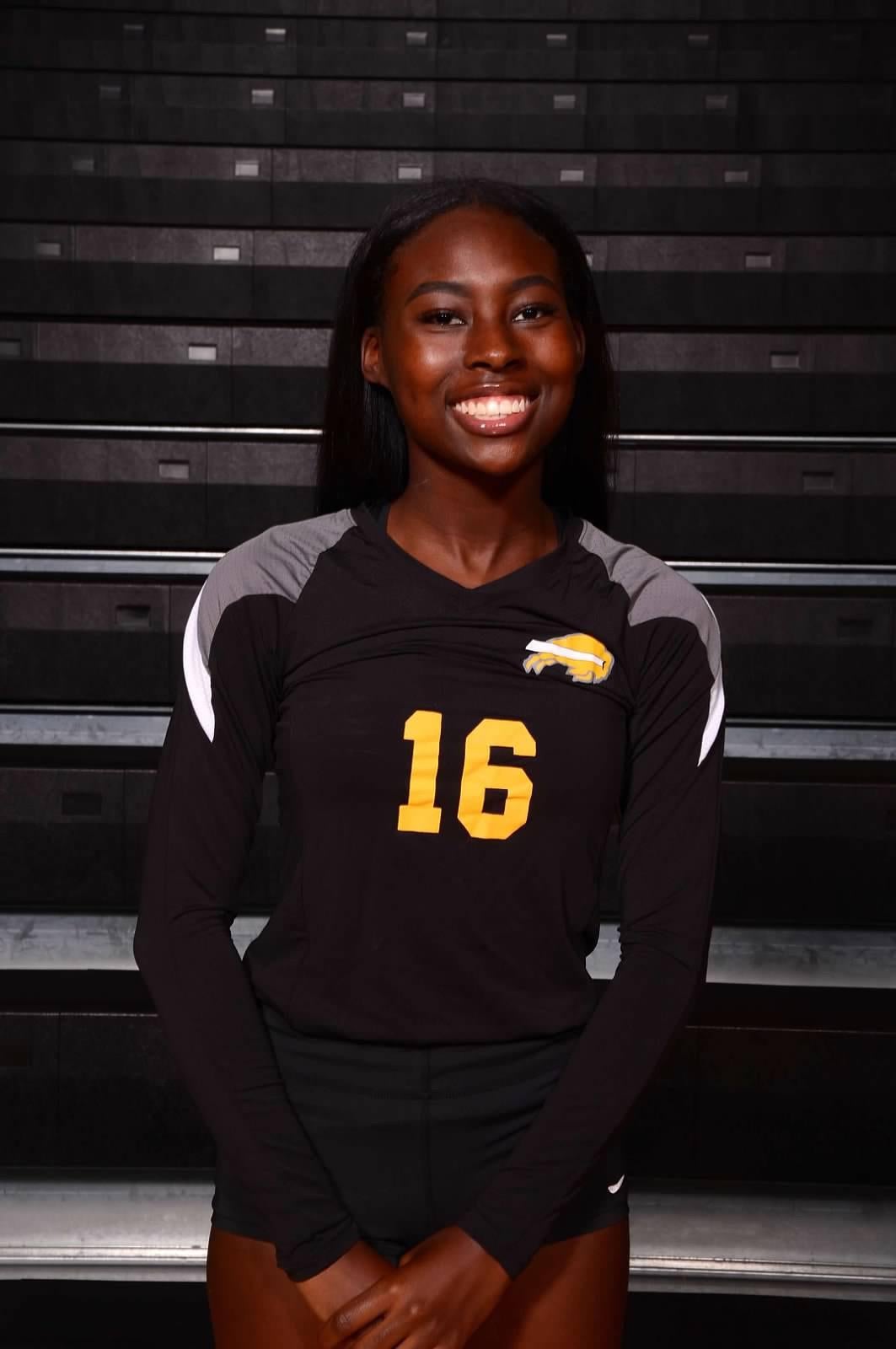 Erion Gibson mugshot