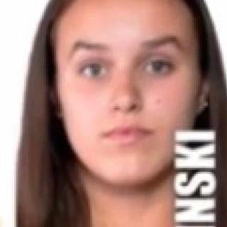 Dylan Gerndzinski mugshot