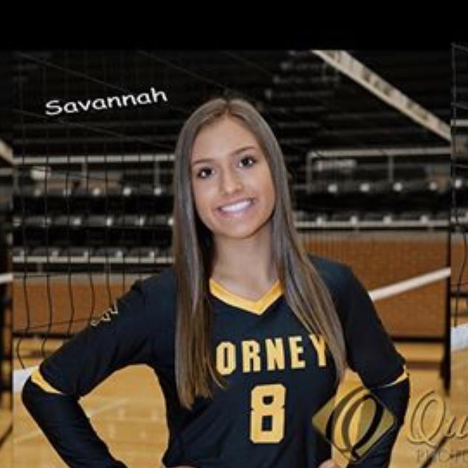 Savannah Whitaker mugshot