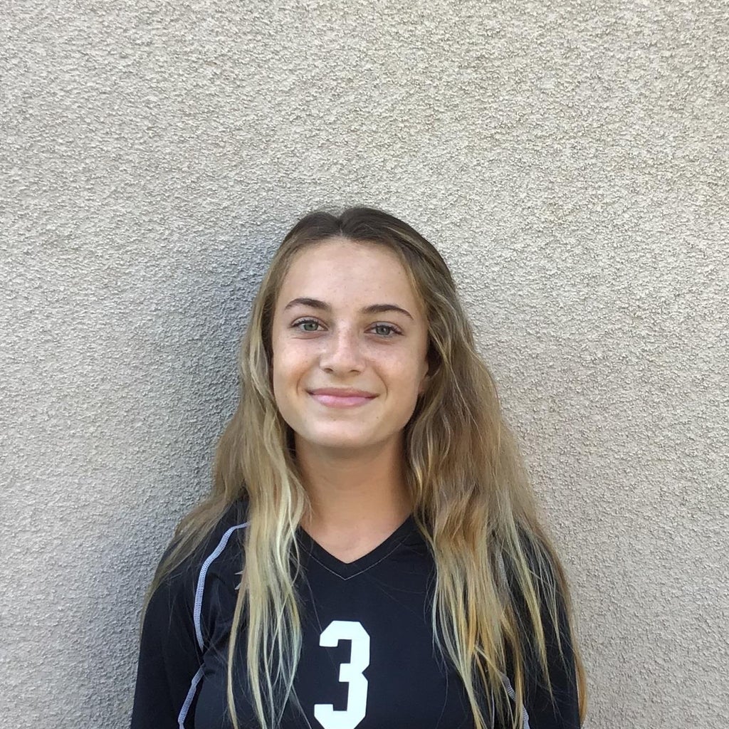 Camille Pokletar mugshot