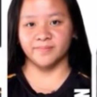 An Chi Nguyen mugshot