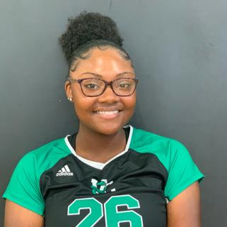 Kyra Mitchell mugshot