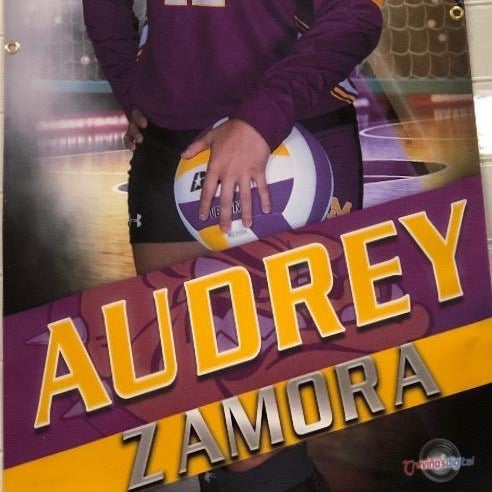 Audrey Zamora