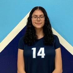 Renee Reyes mugshot