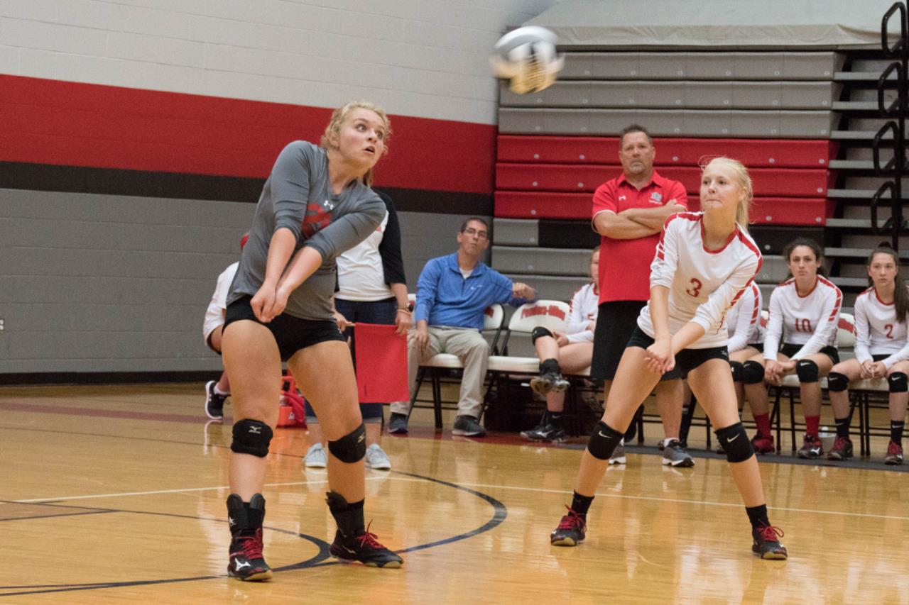 Madison Hovest