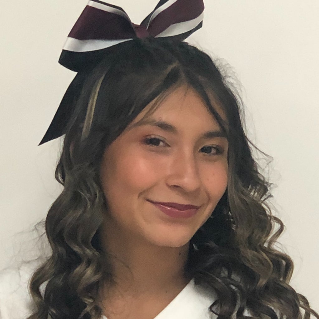 Marisol Galindo mugshot
