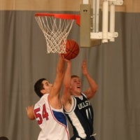 Andrew Tolman