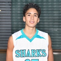 Taylor Scharffenberg mugshot