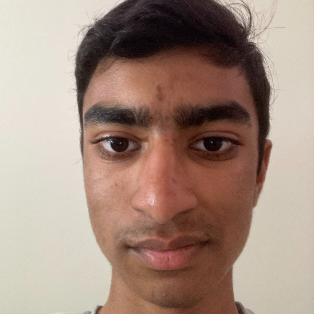 Vaibhav Sridhar mugshot