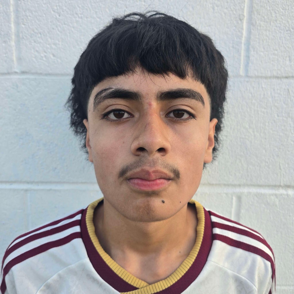 DIEGO AVILES mugshot