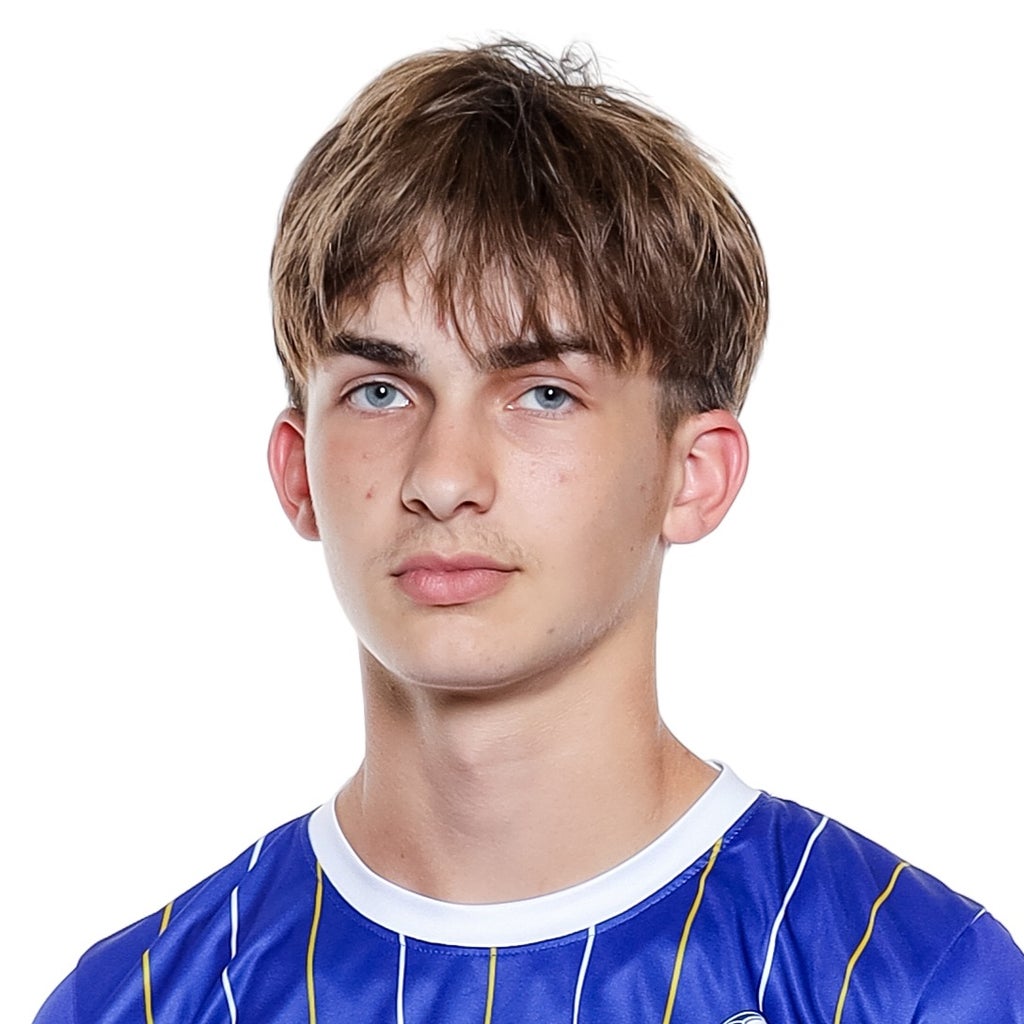 Jordan Pries mugshot
