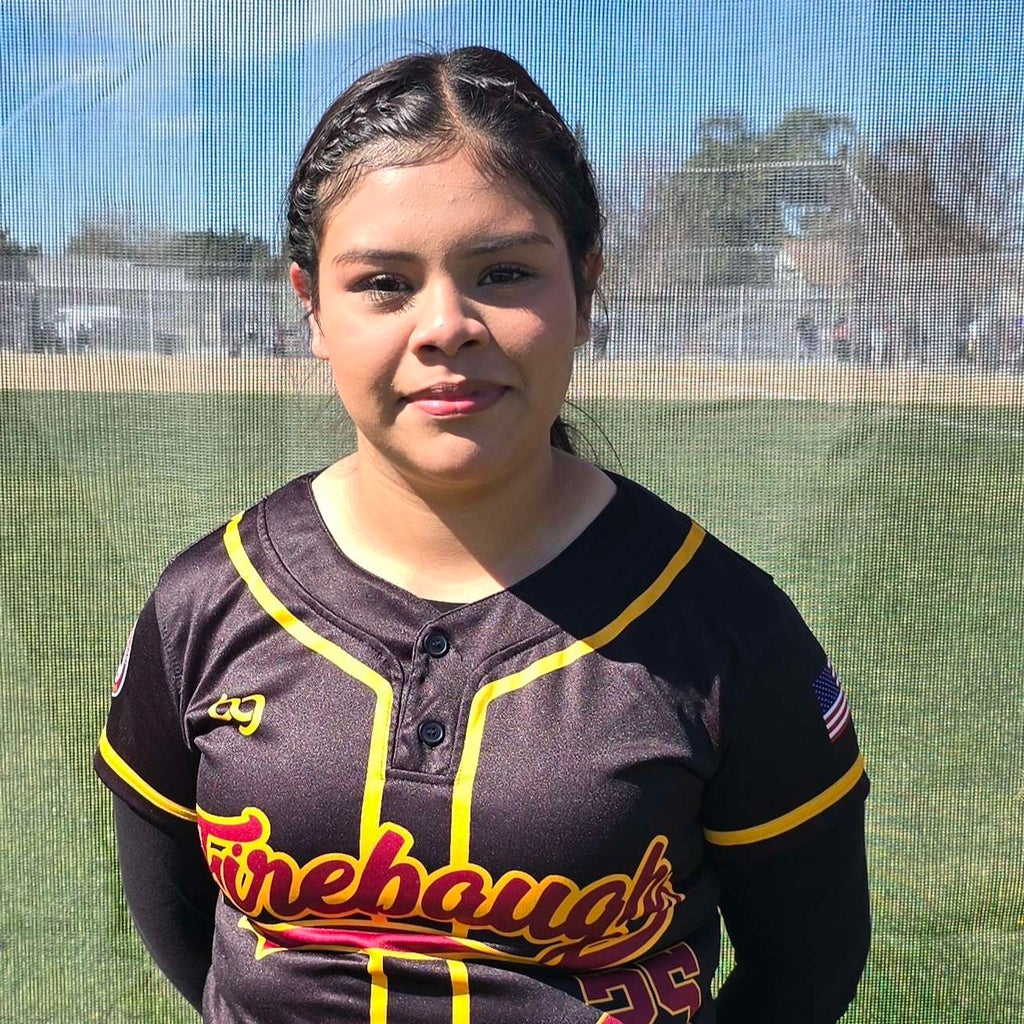 Ariel Chavez mugshot