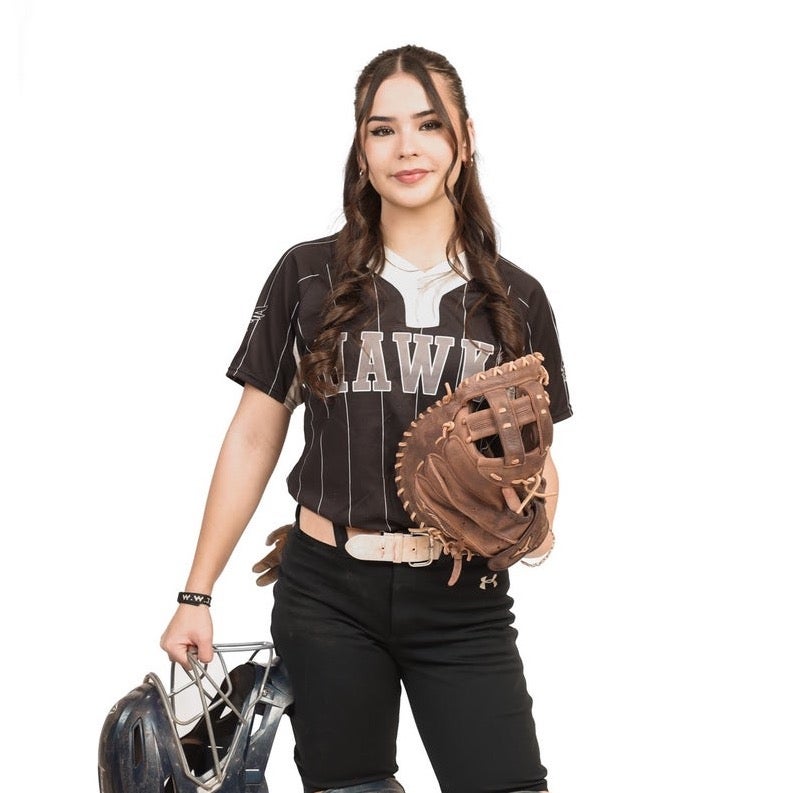 Ariel Segura mugshot