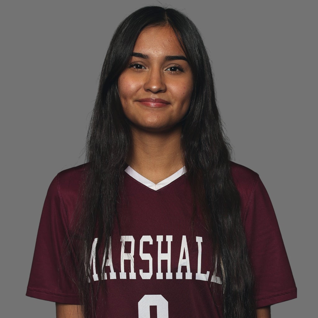 Elise Sanchez mugshot