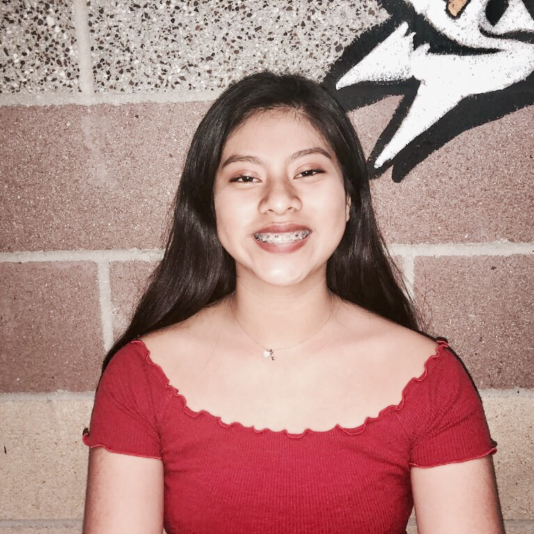 Elma Perez mugshot