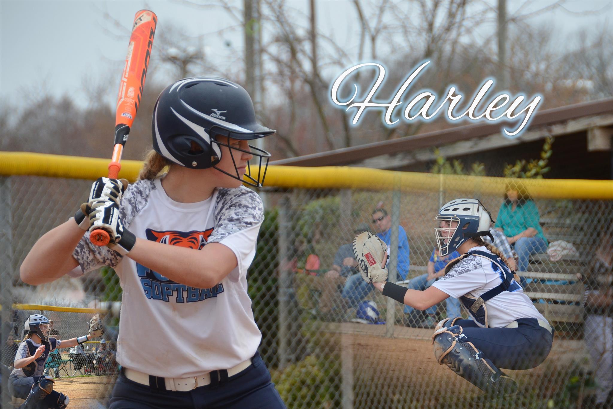 Harley Gilleland