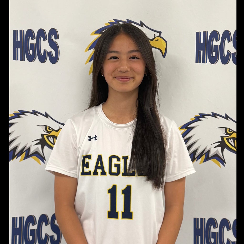 Emily Shin mugshot
