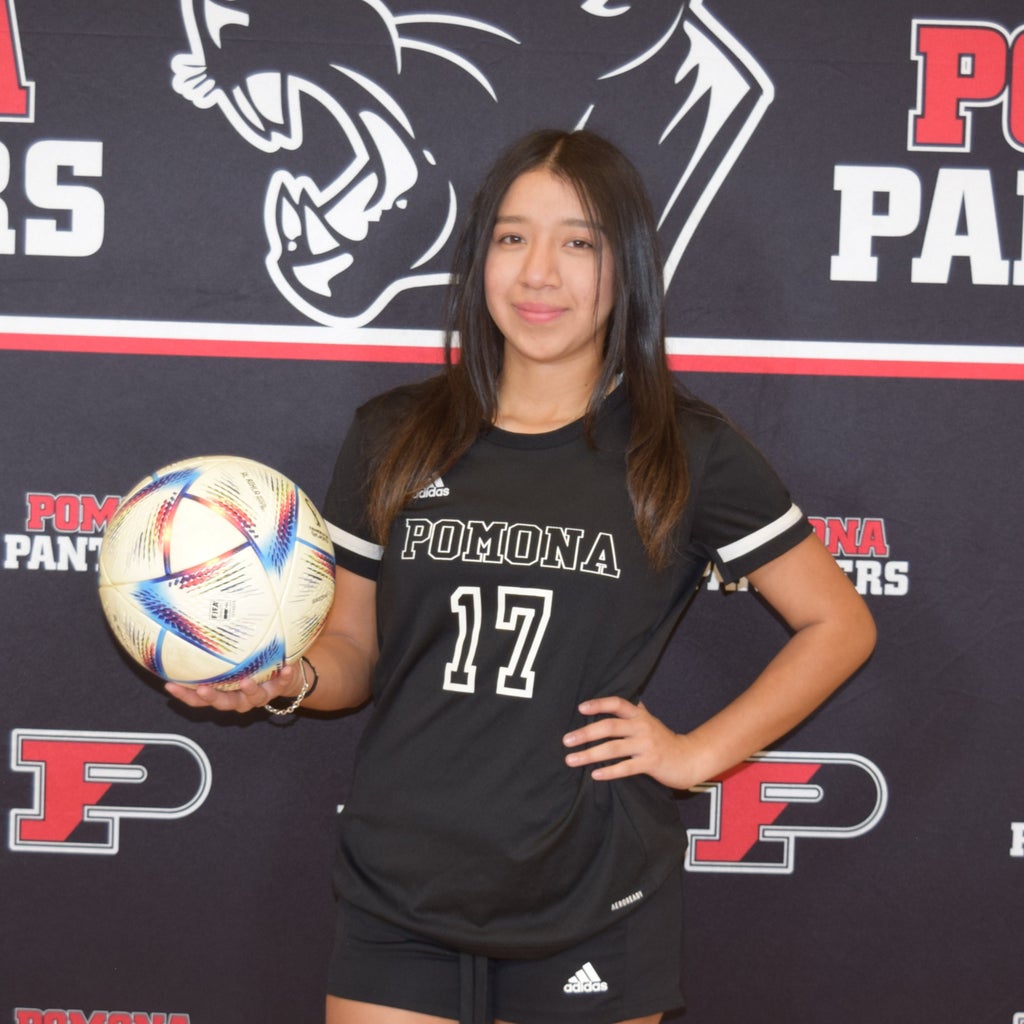 RUBI DOMINGUEZ mugshot