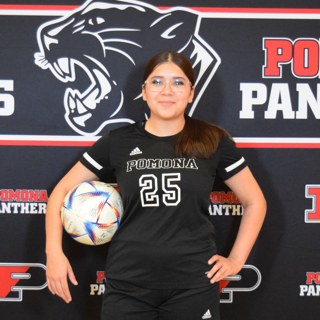 LALAINEY RUAN mugshot