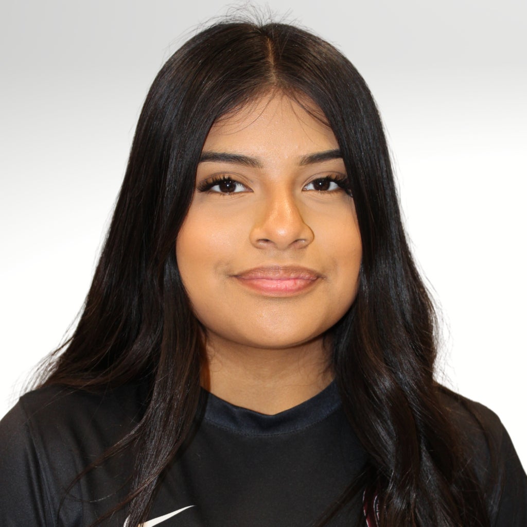 Arelis Salinas-miguel mugshot