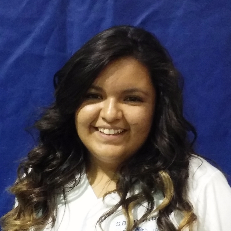 Synthea Carrillo mugshot