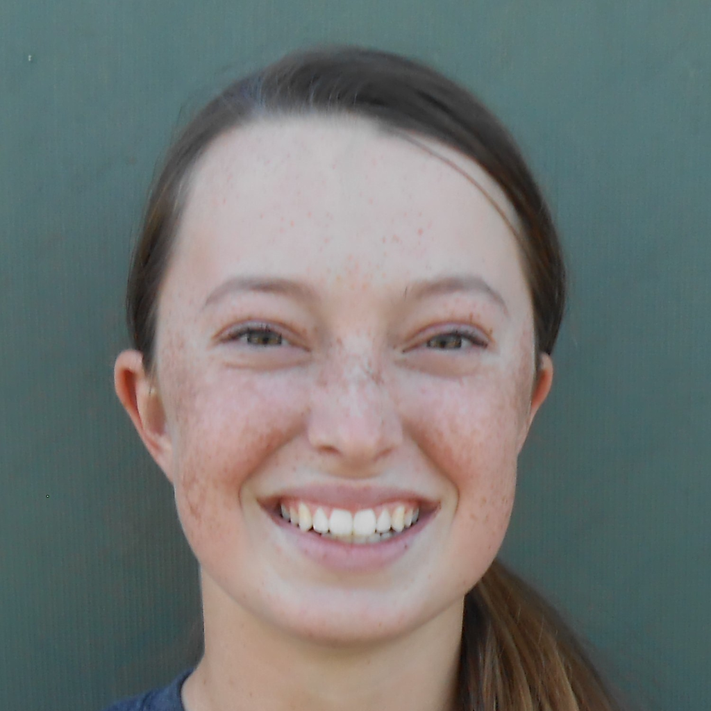 Erica Noll mugshot