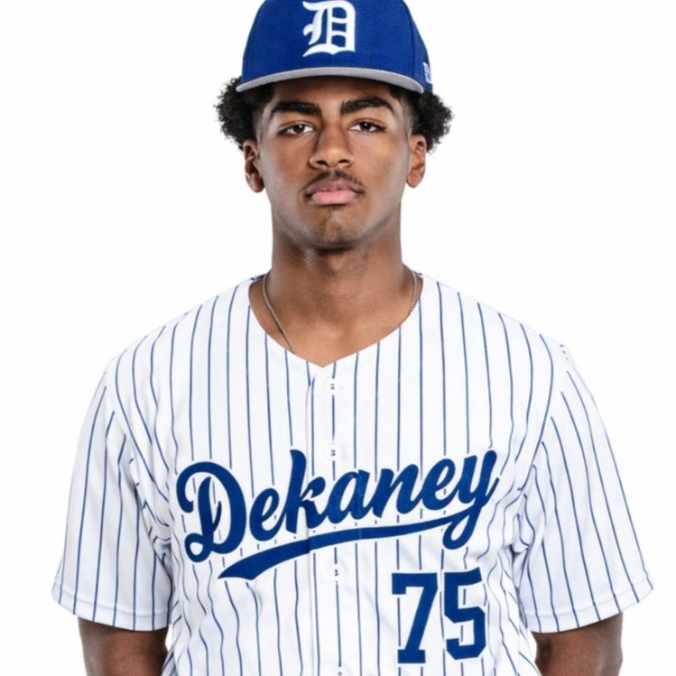 Michael Hayes mugshot