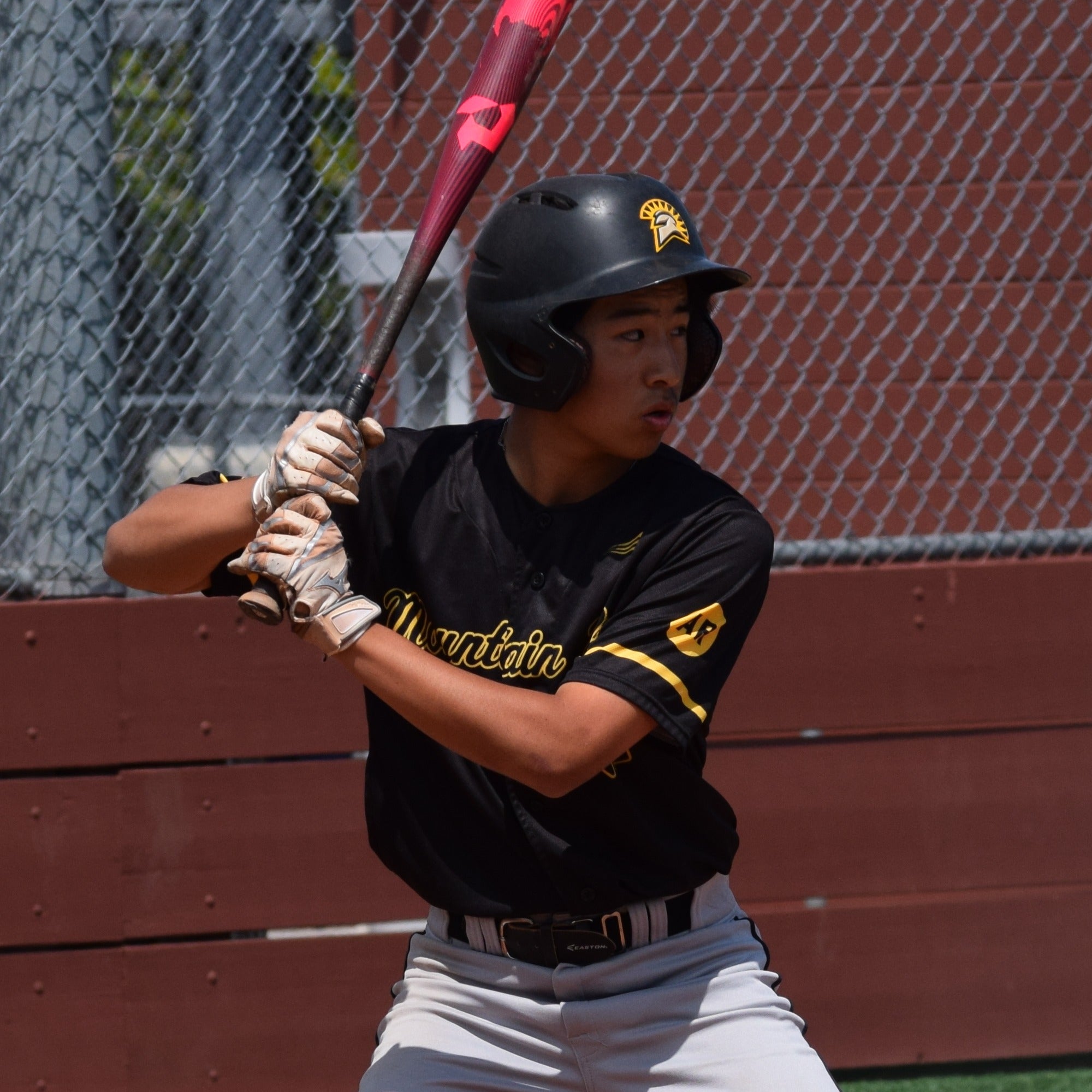 Preston Huang mugshot