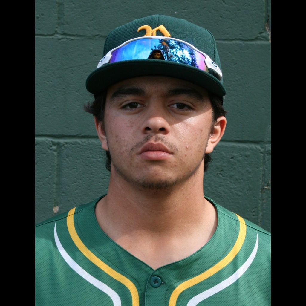 Alexander Koplow mugshot