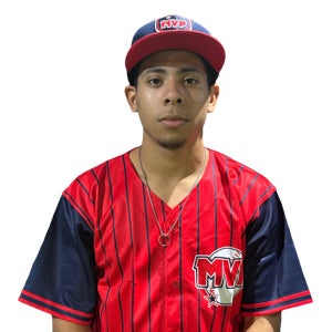 JOHAN HERRERA mugshot