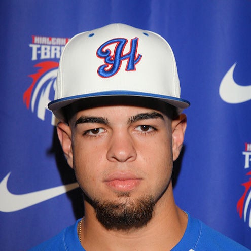 Dieversson Martinez mugshot