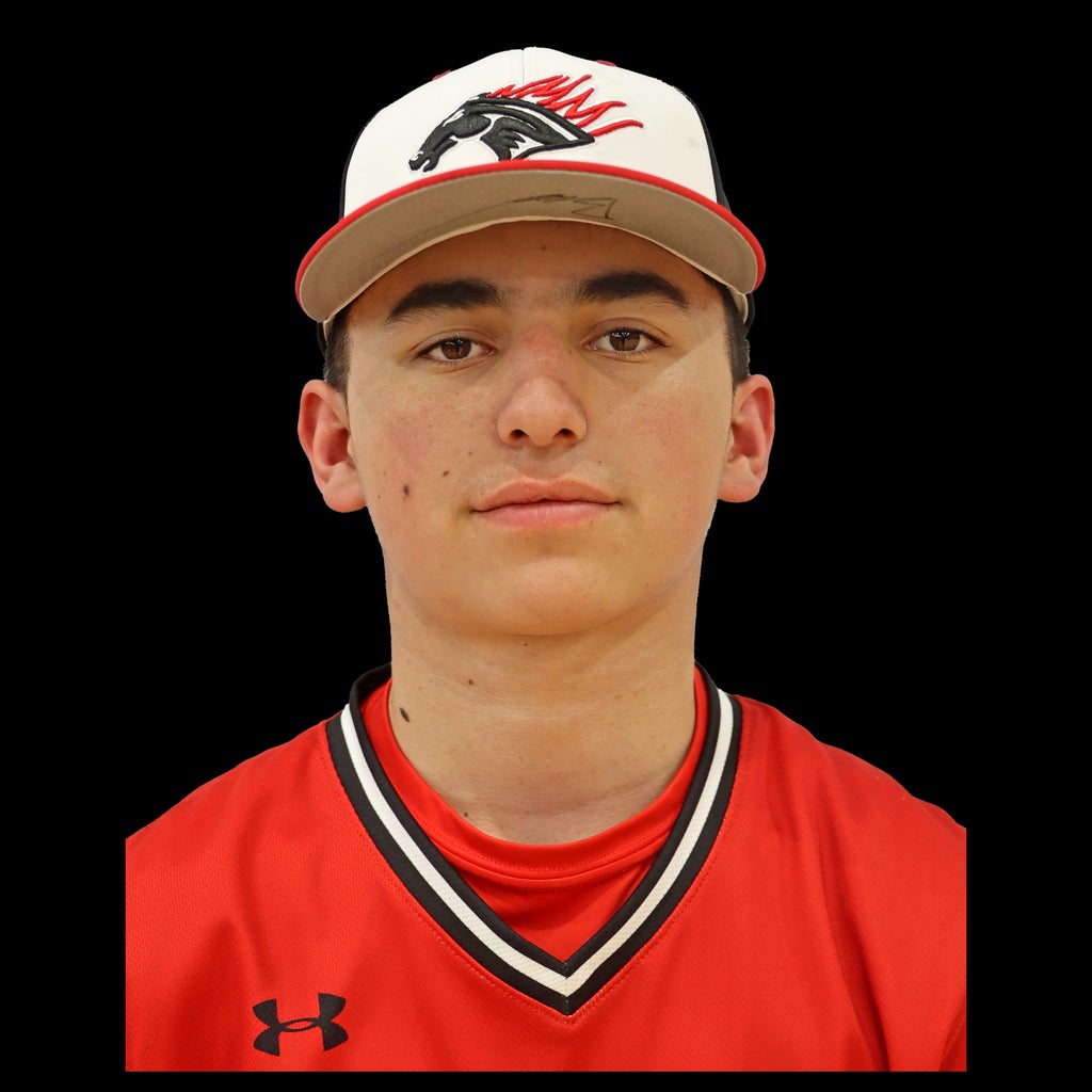 Bear Lindsey mugshot