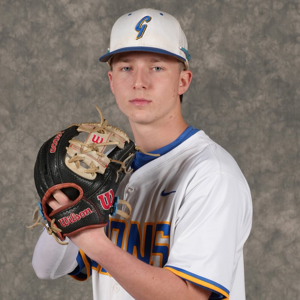 Hudson Shulman mugshot