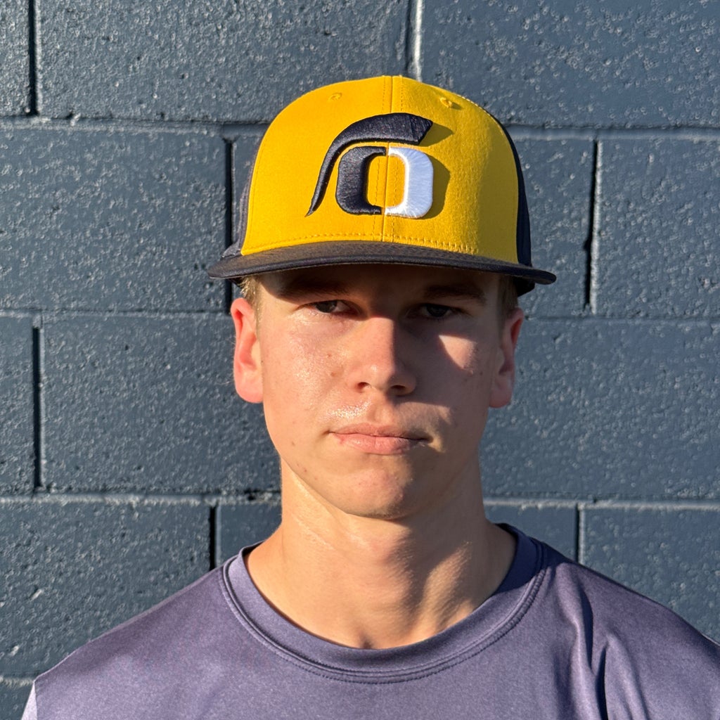 Hudson Vetter mugshot