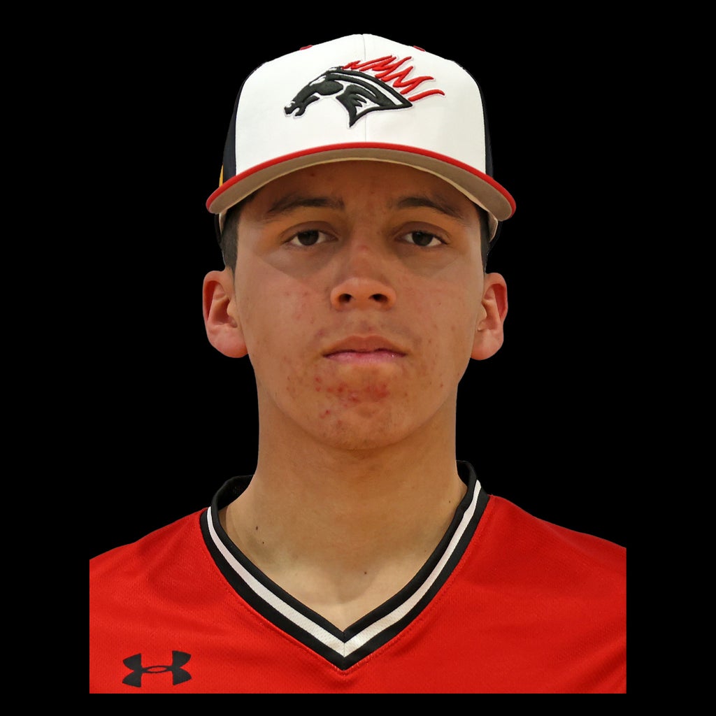 Rodolfo Anaya mugshot