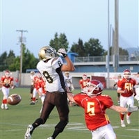 Alex Wilson