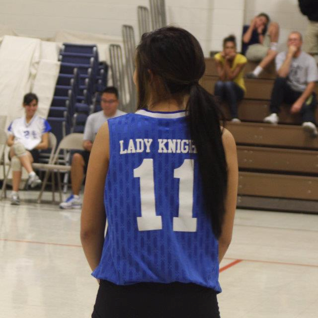 Jasmine Ulloa mugshot