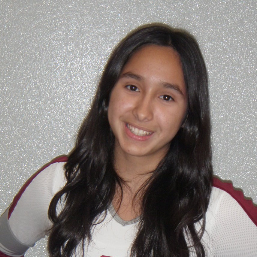 Elvia Diaz mugshot