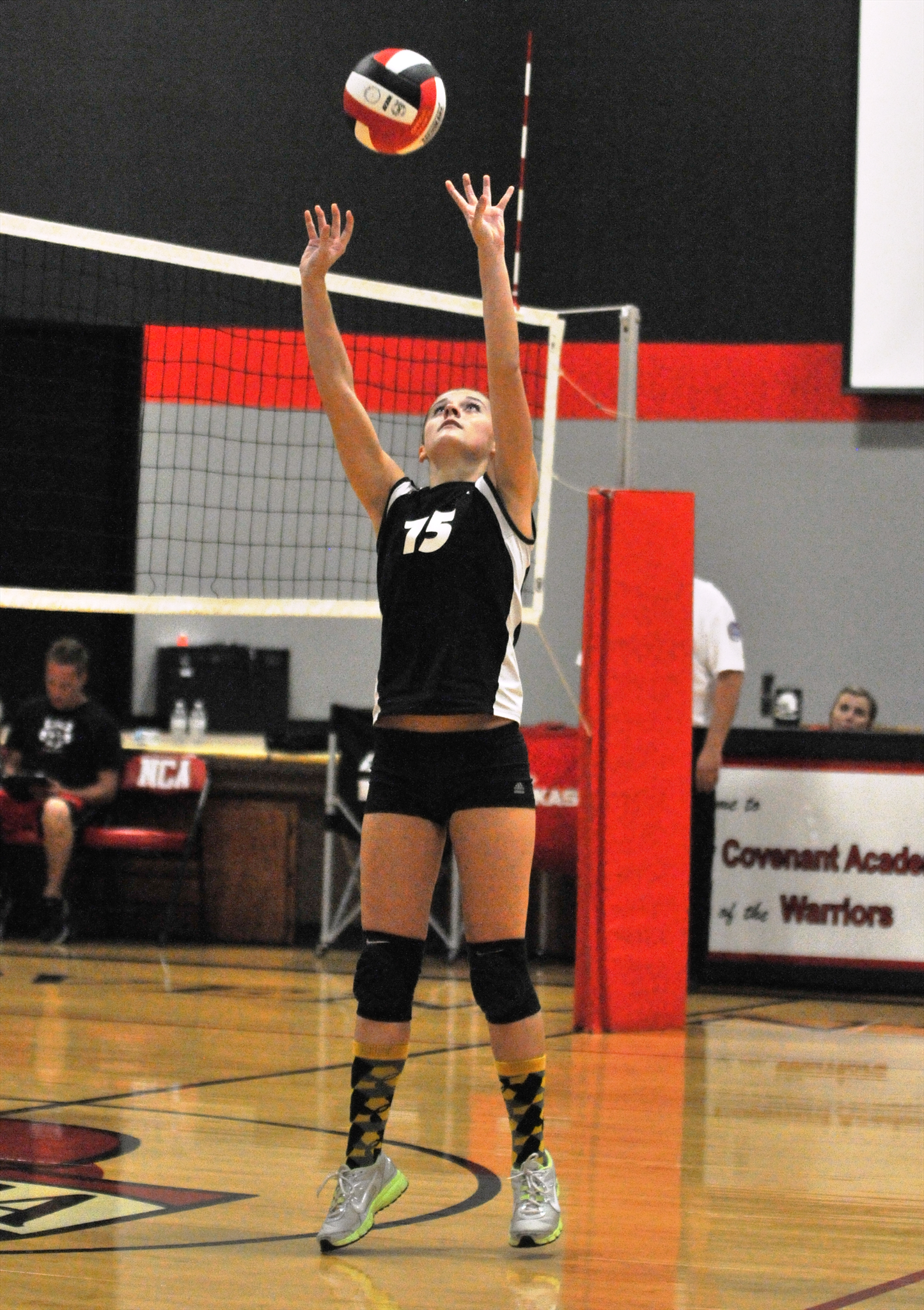 Kylee  Wilson
