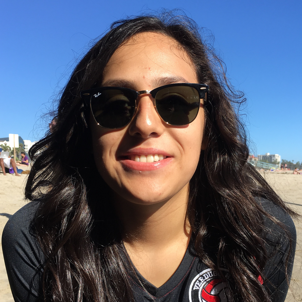 Diana Castillo mugshot