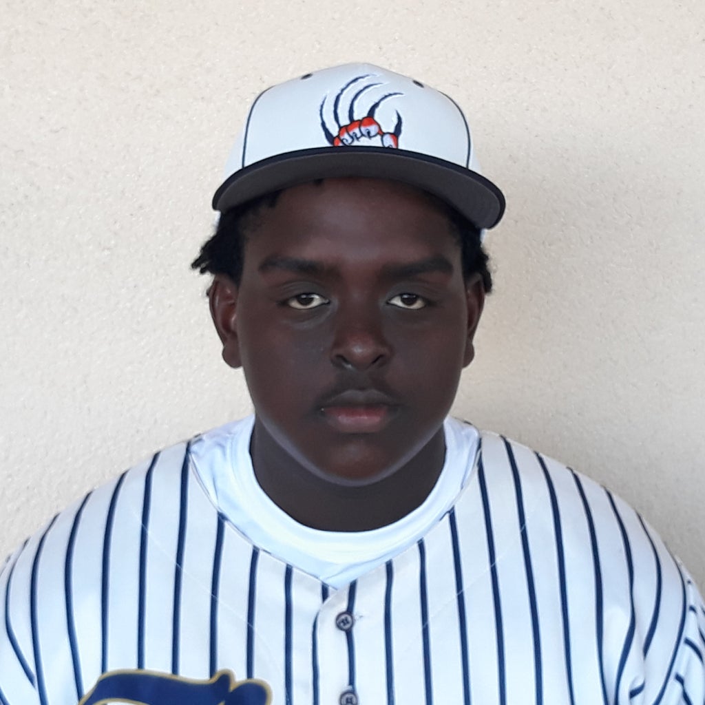 Lavaile Cannon Jr mugshot