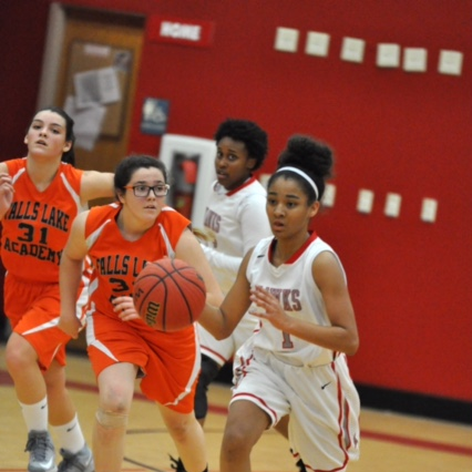 Kamryn Wilkins mugshot